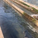 계정횟집 이미지