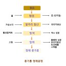 Oil Master(오일마스터) 이미지