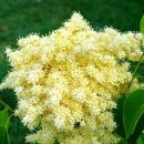 행수농장 이미지