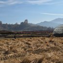 미촤 미쳐 이미지