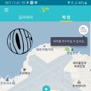 제주혜윰 이미지