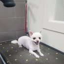 노리마리 이미지