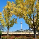 두류공원 이미지