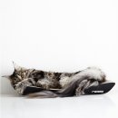 황금복권 이미지