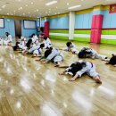 진향태권도장 이미지