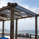 커피인(coffeein) 이미지