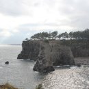 서귀포자연휴양림야영장 이미지