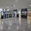 리앤이라마띠네 이미지