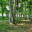 유평경로당 이미지