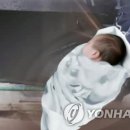 백씨미디어 이미지