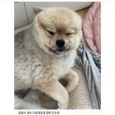 없음 이미지
