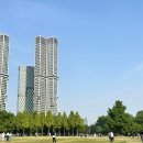 풍수지리학 이미지