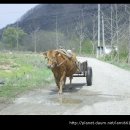 화려한휴식 이미지