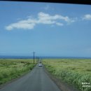 사우스포인트 이미지