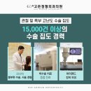 휴고든정형외과의원 | 강남 정형외과의원 앉을 때 무릎 시큰 퇴행성 관절염