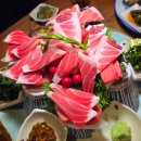 대전장대중학교 | 대전 유성온천역 참치회 맛집 참치향 가성비 코스