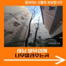 양천 스카이 유도 체육관 | 하남 벌목업체 나무잘라주는곳