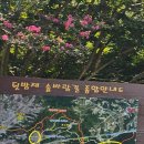 춘향로 이미지