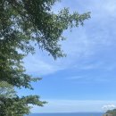 오스파