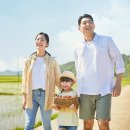 관음포연꽃마을협동조합 네이버블로그