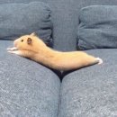 오때