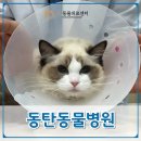 온동물의료센터 이미지