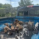 썬편의점 이미지