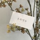 아우어커피로스터스