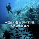 스쿠버존 | 스쿠버다이빙 펀다이빙 강습 내돈내산 (다이빙포인트 추천, 블루홀, 캐년, 벨, 다이빙샵 스쿠버존 후기)