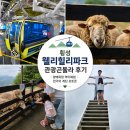 유명파크 - 횡성군 한우로 1389 | 횡성 웰리힐리파크 관광곤돌라 후기 | 양떼목장 먹이체험, 천국의 계단
