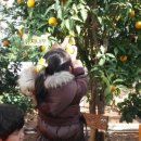 황둔초등학교 병설유치원 이미지