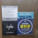 비치홀릭
