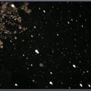 두손모아 반딧불이 이미지