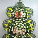 2018-주063 이미지