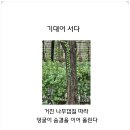 진순희