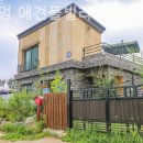 토토멍 애견풀빌라 이미지