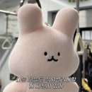 교동국제갈비 | 대구 교동 술집 백호, 안주 전부 대성공 맛집 인정한 곳