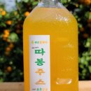 백년귤화다