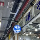 미송타워 | 강릉 주문진수산시장 찐맛집ㅣ‘사랑횟집’ 강릉 회포장 내돈내산 후기