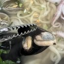 초량해 칼국수 이미지