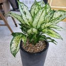 이철우공인중개사사무소 이미지