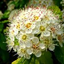 너 나 그리고 우리 이미지