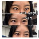 쑥눈썹 서귀포 속눈썹 | 서귀포 속눈썹펌 잘하는 곳ㅣ쑥눈썹 후기, 금액, 할인
