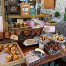 교동로R | 속초 핫한 카페 '세렝게티커피' 내돈내산 솔직후기 / 티그레 맛집