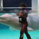 롯데월드아쿠아리움 이미지