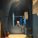 베이비 피그 Baby Pig 이미지