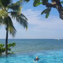 푸우꾹.5~8일차.#2 이미지