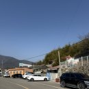 하동횟집 | 경남 하동 선창횟집 참숭어회 4인 내돈내산 후기 (주차, 가격 등등)