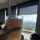 대룡산약국 이미지