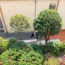 은애마당 이미지